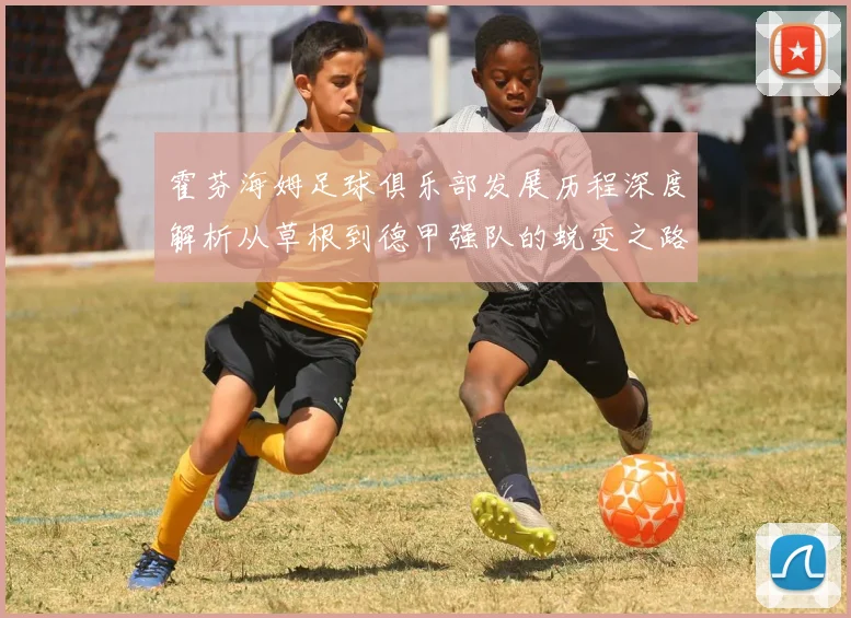 霍芬海姆足球俱乐部发展历程深度解析从草根到德甲强队的蜕变之路