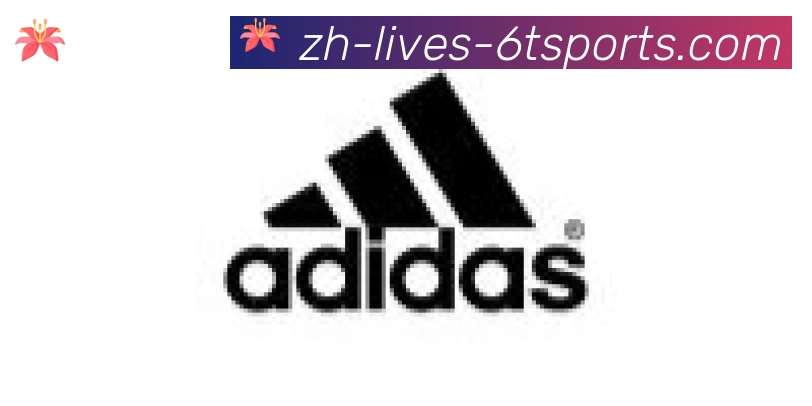 6T体育官网合作伙伴